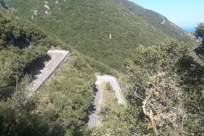 Corfu by bike: Countryside, Forests and Villages - Doukades and its old-style cafe