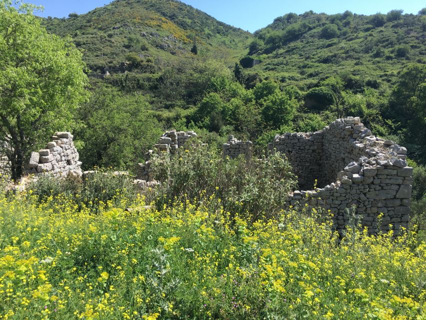 Corfu: Northwest Coast and Village Charms 4x4 Tour - Why northwest Corfu deserves a full day