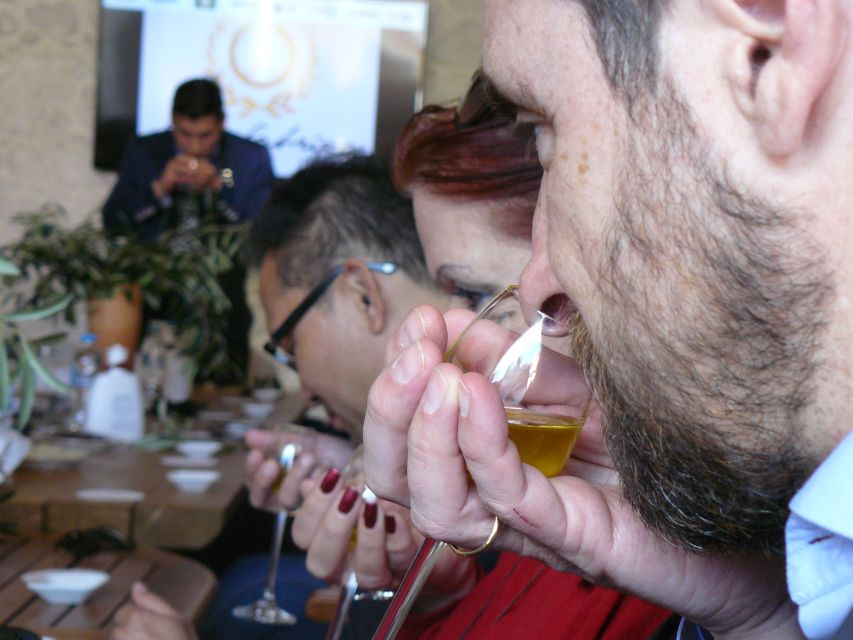 Corfu: Olive Oil Experience - The Governor's Olive Mill - The old groves and the Mitera tree