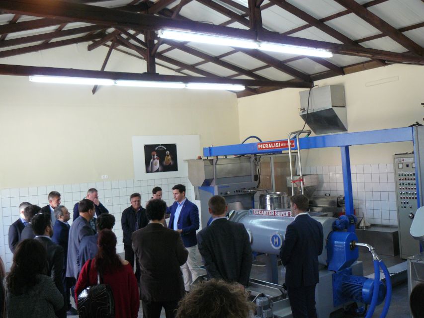 Corfu: Olive Oil Experience - The Governor's Olive Mill - The drive from Corfu port or your hotel