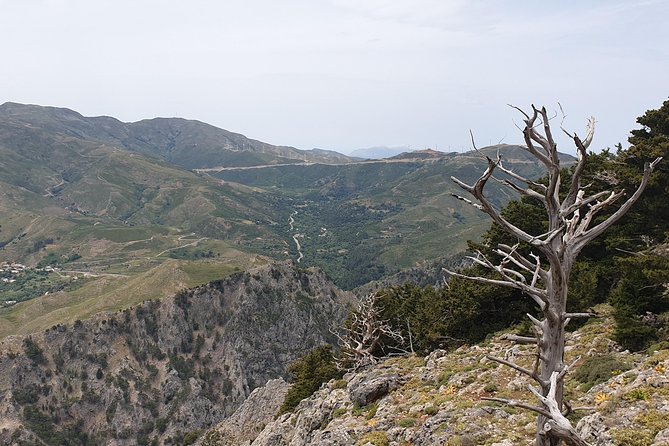 Cretan Safari – 4x4 Adventure to Preveli Beach with Lunch - Why this Land Rover route shows you more of Crete