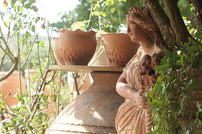 Cretan Wines & Olive oil tour - The treasures of Crete - Timing, transport, and the shape of the day