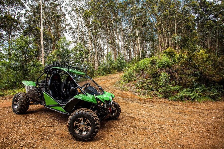 Crete buggy safari - Olive oil at Vasilakis Estate