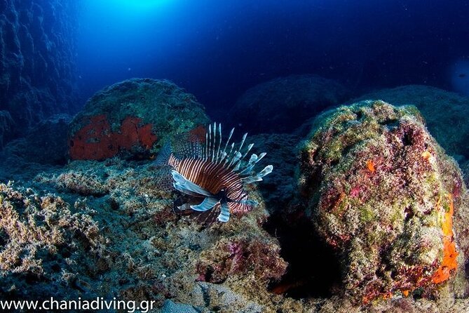 Crete-Chania: Snorkeling & Scuba Dive for Beginners by Boat - Boat travel, coastal views, and the pace of the morning