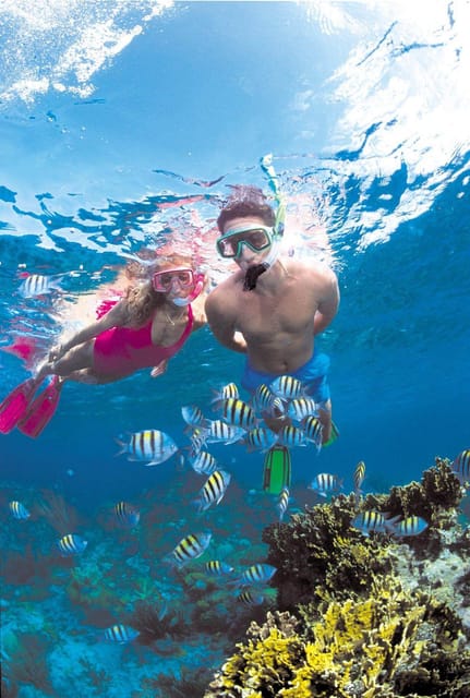 Crete: Coastline Snorkeling Cruise from Hersonissos Port - The 45-minute beach stop
