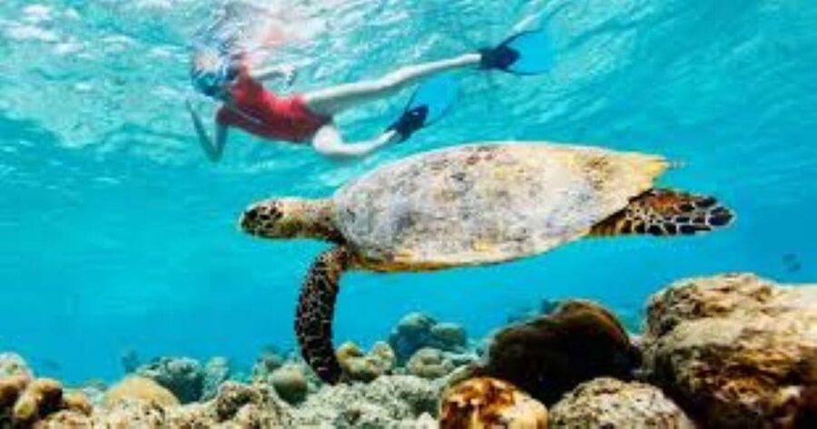 Crete: Coastline Snorkeling Cruise from Hersonissos Port - What to pack for the boat