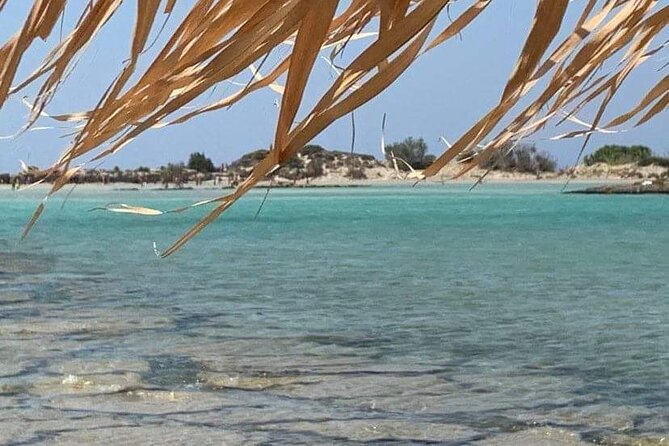 Crete: Elafonisi – 4 hours in the beach - Key points to know before booking