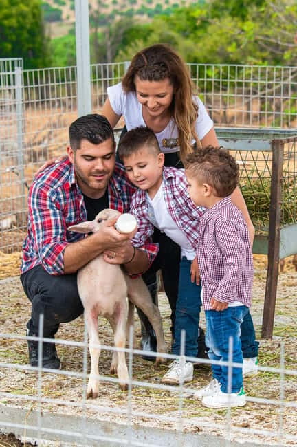 Crete: Farm Visit with Cheese Tasting and Milking Experience - Key points at a glance