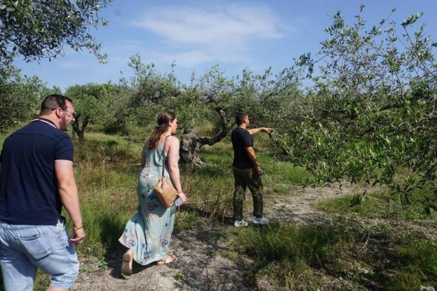 Crete: Full-Day Cretan Wines, Olive Oil, Raki and Food Tour - Is $141 a fair price?