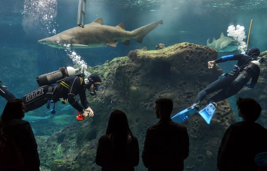 Crete: Heraklion Center, Local Market and Creta Aquarium - What this six-hour Crete outing is really like