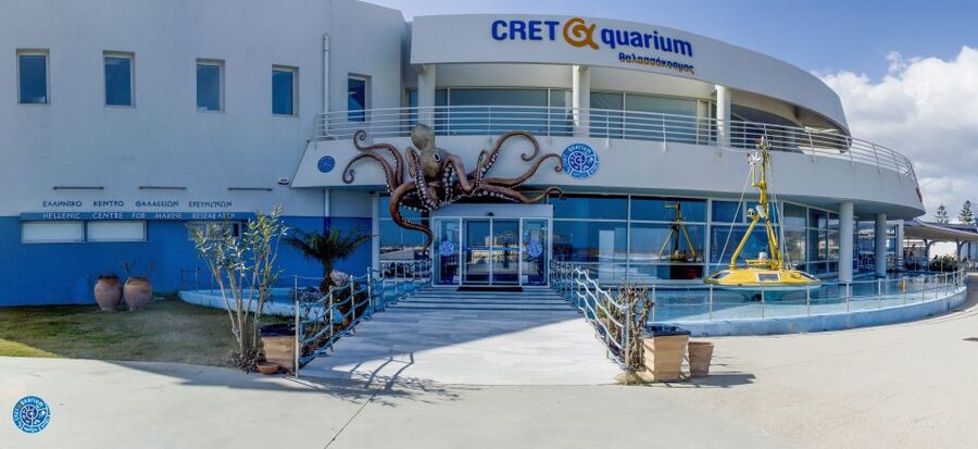 Crete: Heraklion Center, Local Market and Creta Aquarium - Cretaquarium: good marine life, limited time