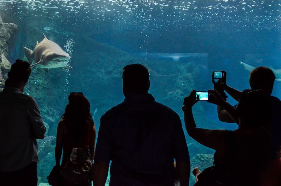 Crete: Heraklion Center, Local Market and Creta Aquarium - What the price includes, and what it does not
