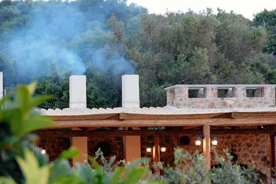 Crete: Knossos, Lasithi, Lasinthos and Olive Farm Combo Tour - Krasi and the ancient plane tree