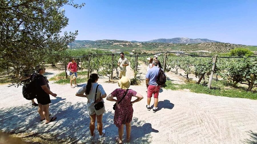 Crete: Knossos Palace, Winery & Olive Oil Tour with Lunch - From Knossos to the Cretan countryside