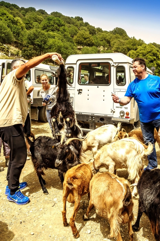 Crete: Land Rover Safari on Minoan Route - Key points to know before you book