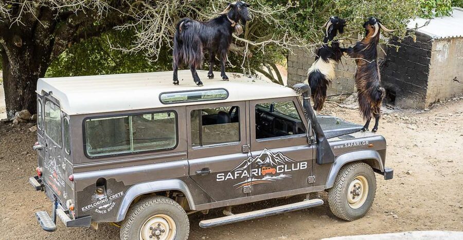 Crete: Land Rover Safari on Minoan Route - Raki in Kastamonitsa