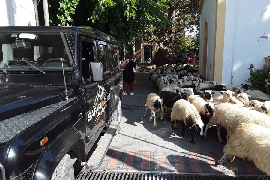 Crete: Land Rover Safari on Minoan Route - Bumpy tracks on the old Minoan Path