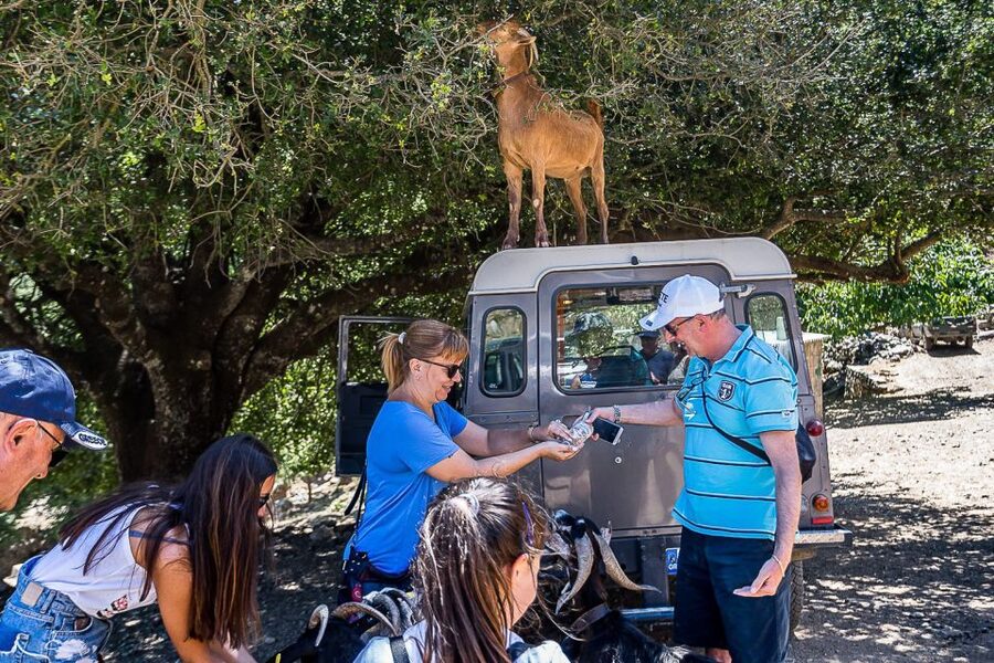 Crete: Land Rover Safari on Minoan Route - A long Cretan lunch with unlimited wine