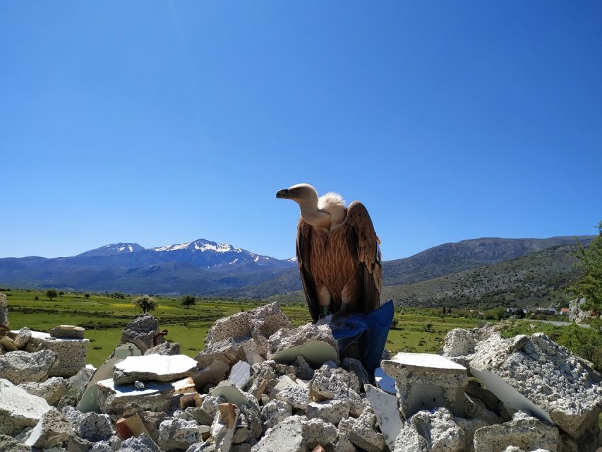 Crete: Lasithi Plateau and Cave of Zeus Off-Road Safari Tour - The route home includes one last wide view