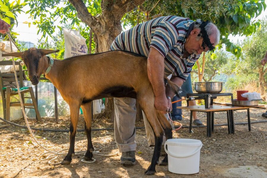Crete: Lasithi Plateau and Cave of Zeus Off-Road Safari Tour - Aposelemis Dam and the fading village of Sfendili