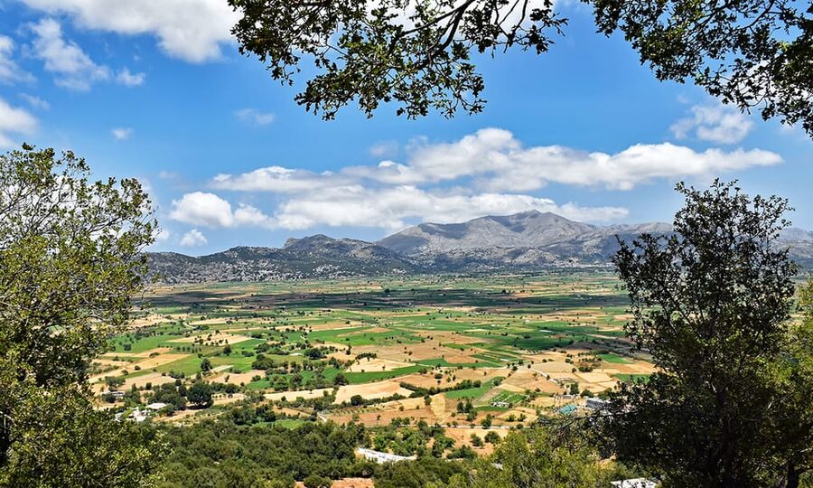 Crete: Lasithi Plateau & Knossos Palace Day Trip - A full day from the coast to Crete’s ancient heart