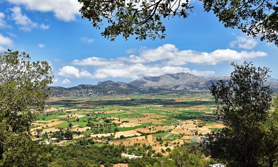 Crete: Lasithi Plateau & Knossos Palace Day Trip - Lasithi Plateau, windmills, and the view from Seli