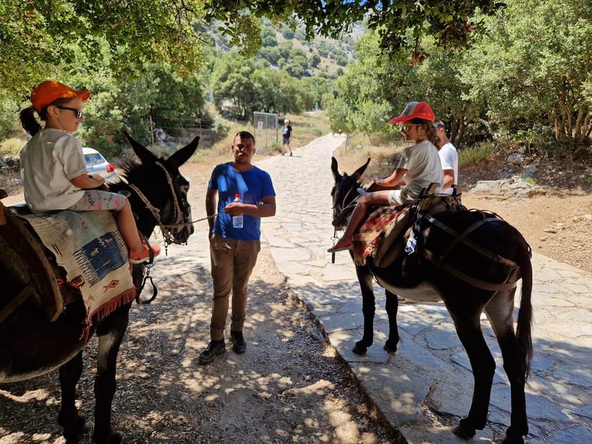 Crete: Lasithi Plateau Zeus Cave Guided Jeep Safari Tour - Is $100 a fair price?