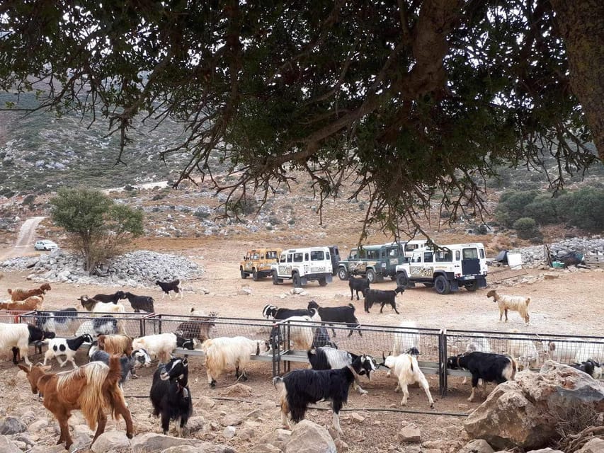 Crete: Lasithi Plateau Zeus Cave Guided Jeep Safari Tour - Kastamonitsa and the Roman aqueduct