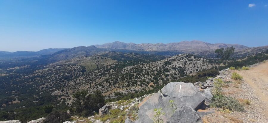Crete: Olive, Wine, & Raki on a Flavorful Culinary Journey - Transport, timing, and group feel
