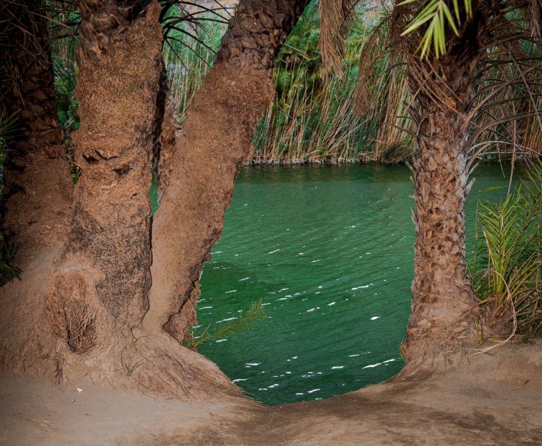 Crete: Preveli Tropical Beach and Palm Forest - Key points to know before booking