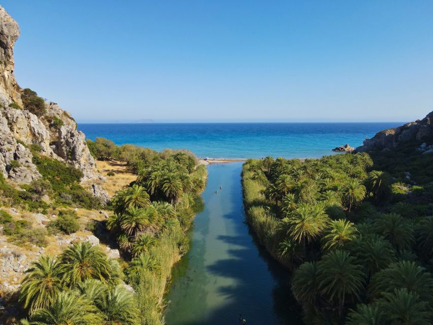 Crete: Preveli Tropical Beach and Palm Forest - Why Preveli Beach feels different from an ordinary beach stop