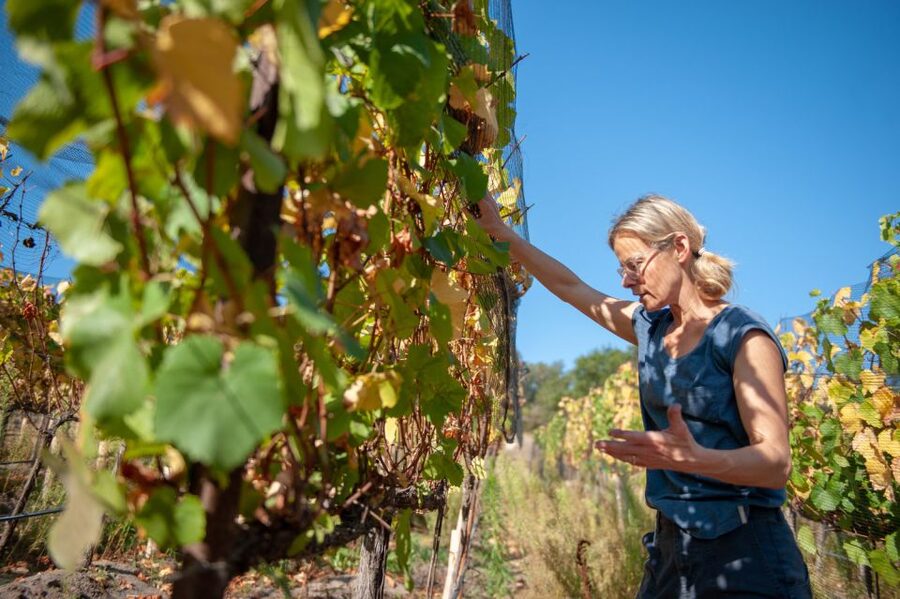 Crete Private Tour: The Secrets of Wine, Olives & Honey - Garazo, stone homes, and a smaller view of village life