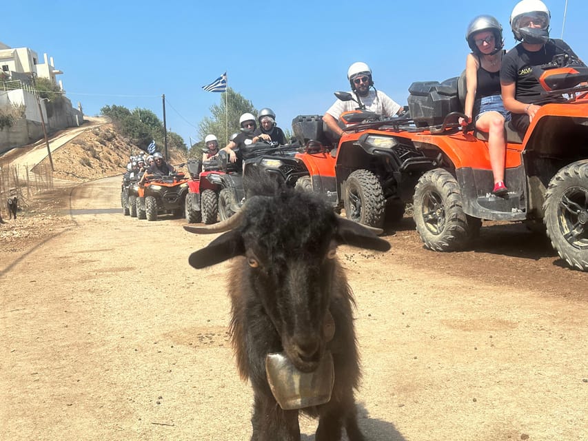 Crete: Quad Safari, Olive Mill with Tasting & Ghost Village - Seeing olive oil made in the traditional Cretan way