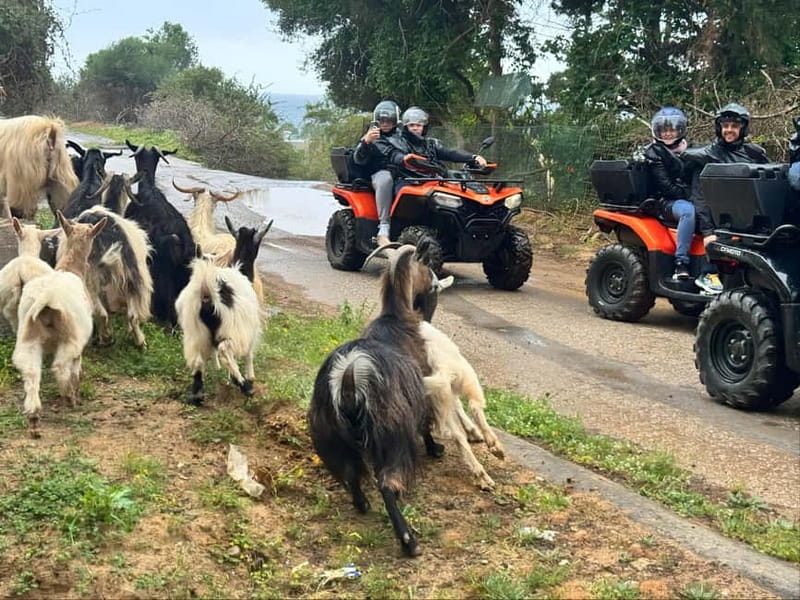 Crete: Quad Safari with Ghost Town Exploration - Key points at a glance