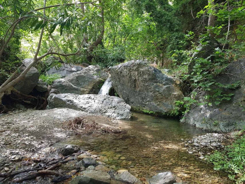 Crete: Richtis Waterfall Full-Day Tour with Olive Tasting - What the small group changes