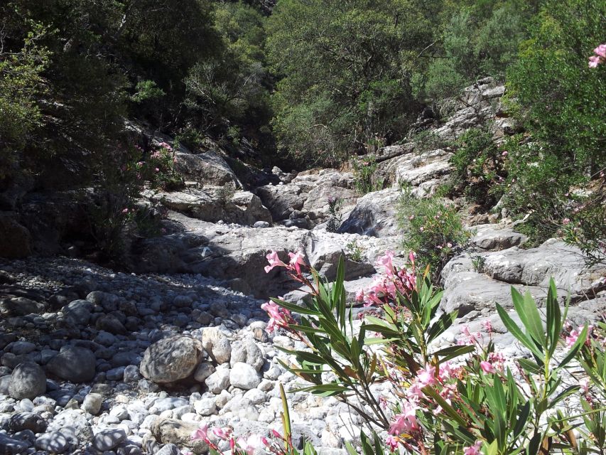 Crete: Richtis Waterfall Full-Day Tour with Olive Tasting - Who should book this day