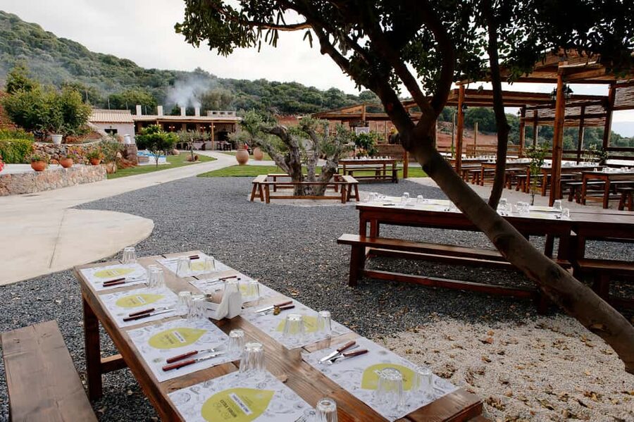 Crete: Road-trip to Lasithi Plateau & Olive Mill Farm - Should you book the Lasithi Plateau tour?