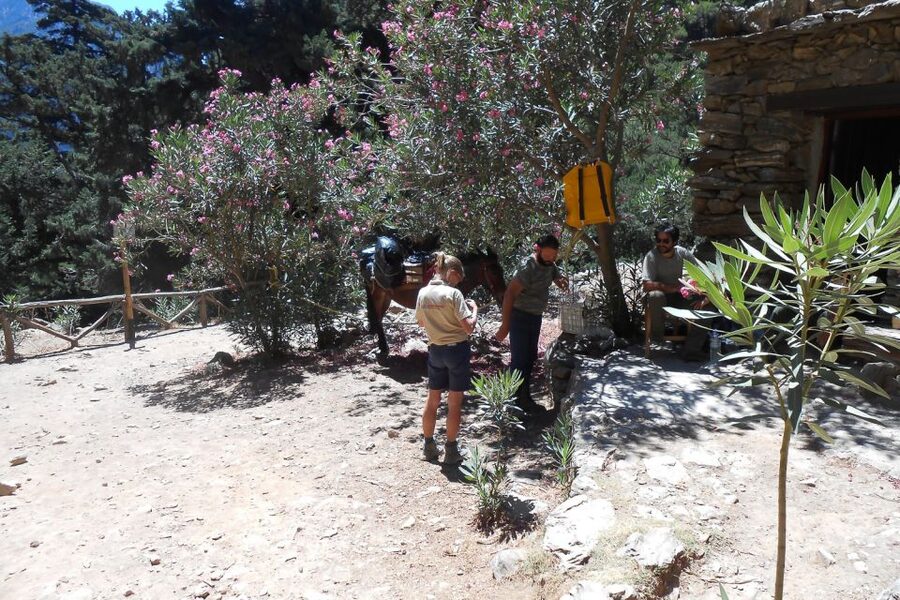 Crete: Samaria Gorge Hiking with transfer and expert Escort - Walking the rocky route into Samaria Gorge