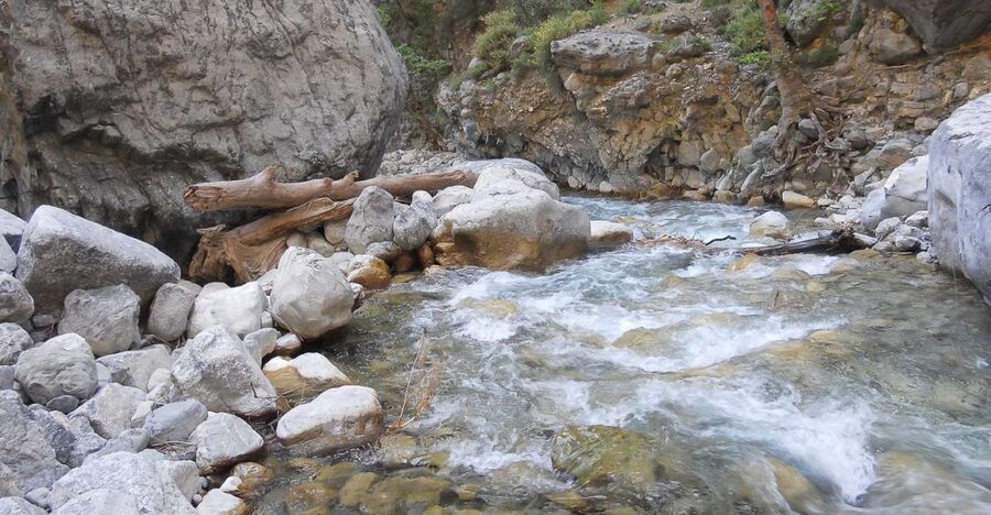 Crete: Samaria Gorge Hiking with transfer and expert Escort - Starting high on the Omalos Plateau
