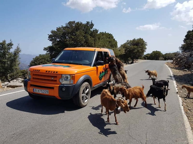 Crete: Sarakina Gorge, Forests, and South Coast Safari - Why this Crete safari feels different