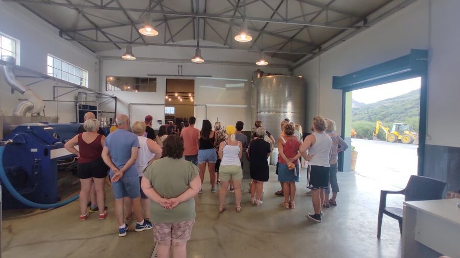 Crete: Sightseeing Day Trip with Cooking Lesson and Lunch - Learning how olive oil reaches your table
