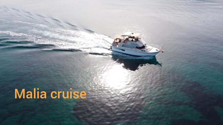 Crete: Snorkeling Boat Trip with Lunch and Transfer - Who Will Enjoy This Boat Trip Most