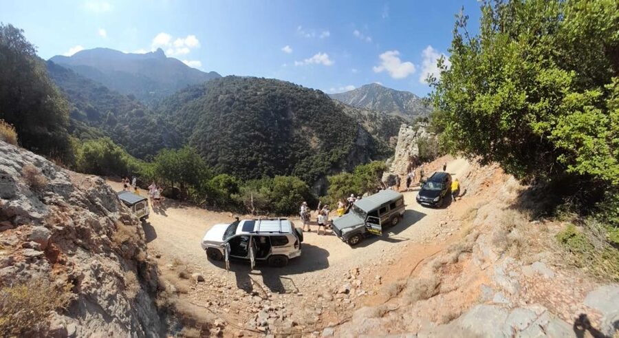 Crete: Sunset Safari - The Platanus tree and dinner in Malia