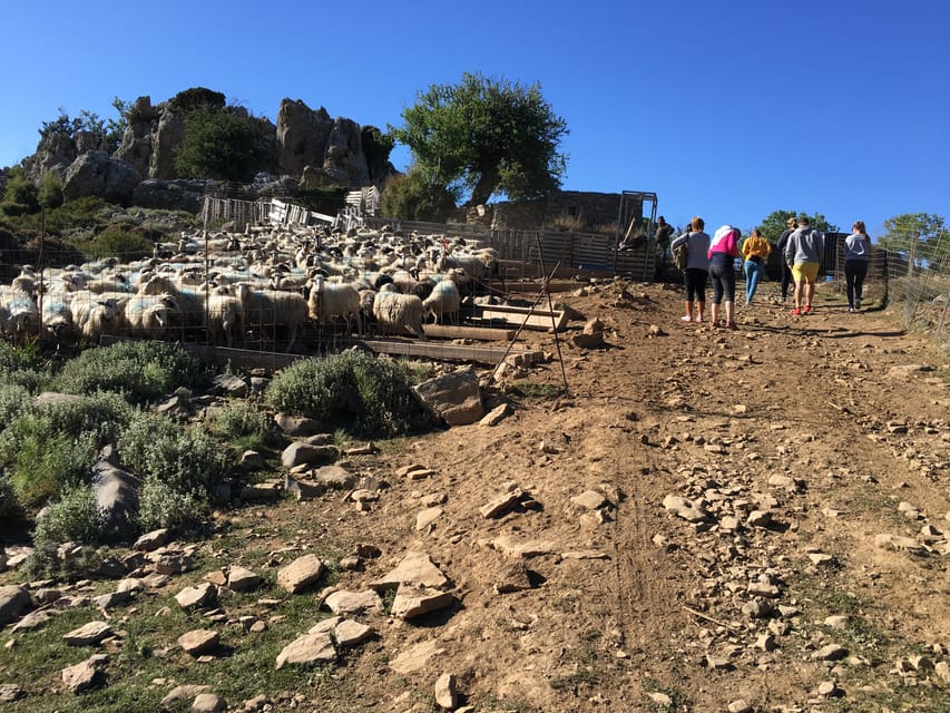 Crete: White Mountains Preserve Day Tour - Panoramas above Chania