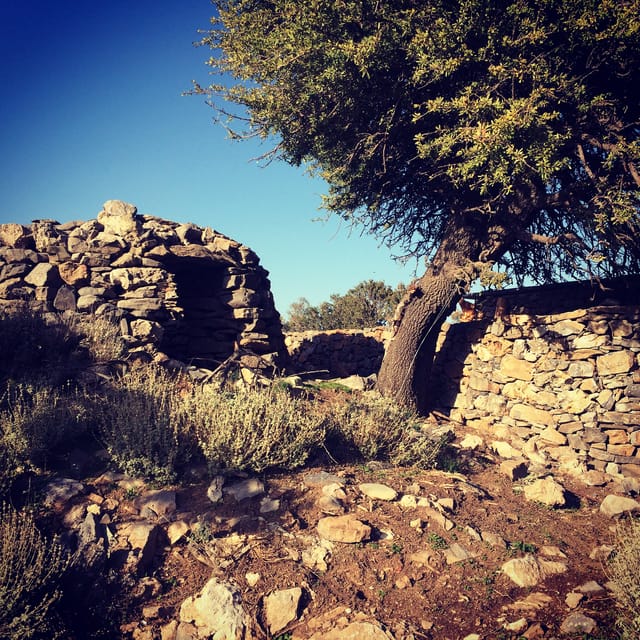 Crete: White Mountains Preserve Day Tour - Orange groves and the coffee stop at Deres