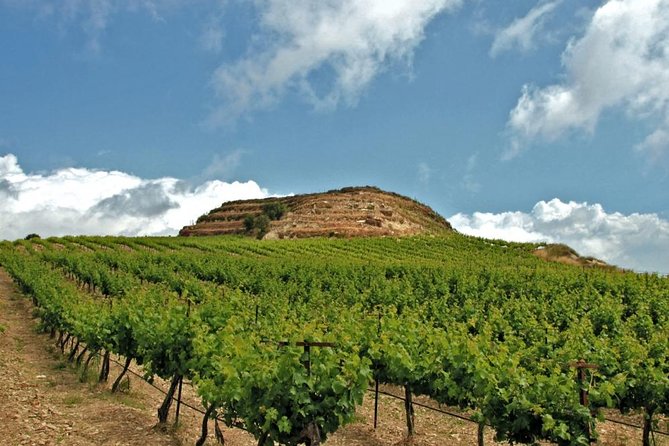 Crete Wine and Olive Oil Tour - Leaving Chania for the Kissamos hills