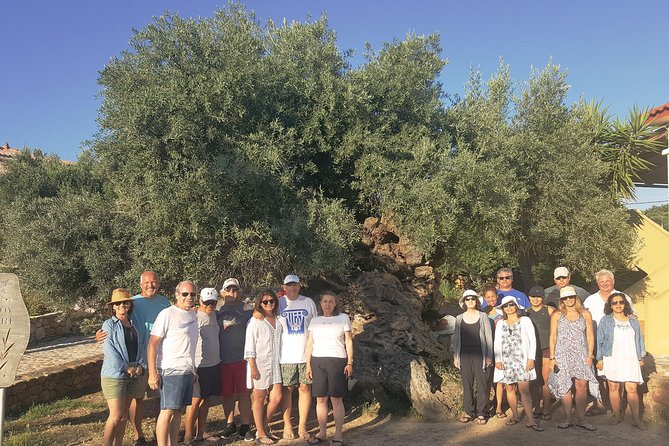Crete Wine and Olive Oil Tour - Timing, access, and who should book