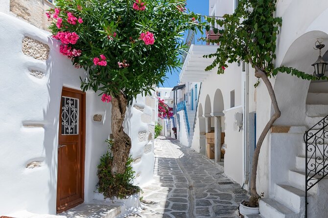Day Tour to Santorini Island from Heraklion Crete - What the $203.70 price really buys