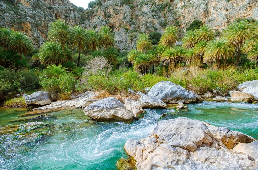 Day Trip to Preveli & Damnoni Beach & Rethymno City Tour - Two hours at Preveli Beach