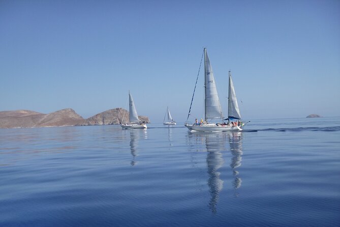 Dia island : Small Group Sailing Trip to Dia Island with Lunch - Ninety minutes for swimming, snorkeling, and SUP